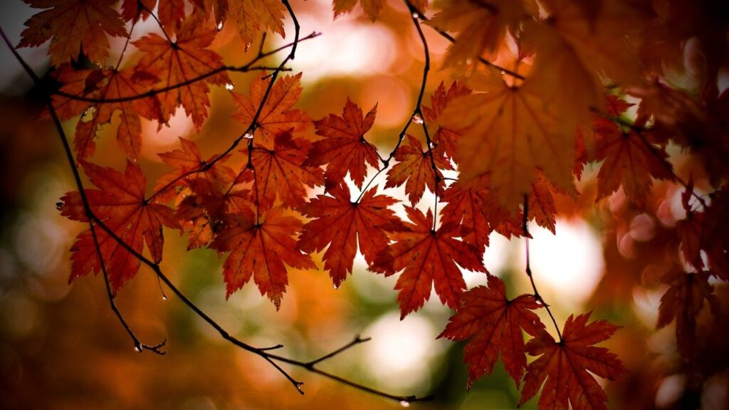 Herfst als rusttijd