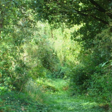 Bijtanken in de natuur