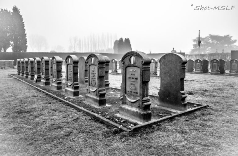 Omgaan met de dood en graven